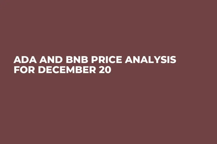 ADA and BNB Price Analysis for December 20