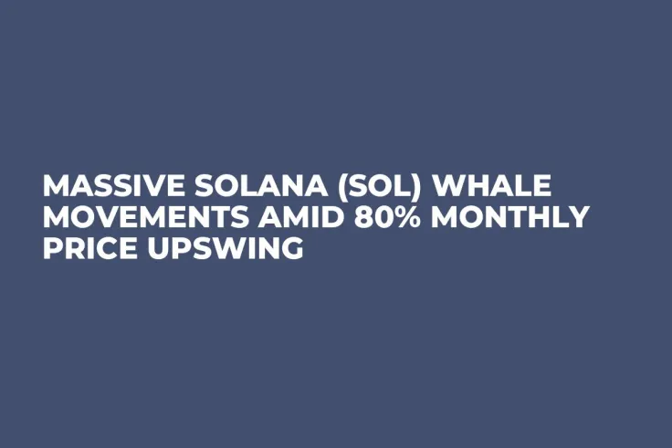 Massive Solana (SOL) Whale Movements Amid 80% Monthly Price Upswing