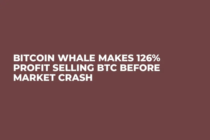 Bitcoin Whale Makes 126% Profit Selling BTC Before Market Crash