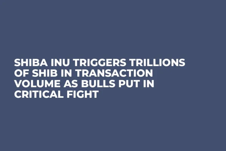 Shiba Inu Triggers Trillions of SHIB in Transaction Volume as Bulls Put in Critical Fight