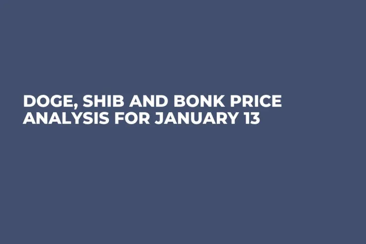 DOGE, SHIB and BONK Price Analysis for January 13
