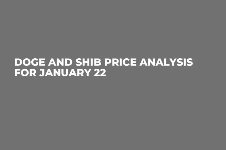 DOGE and SHIB Price Analysis for January 22
