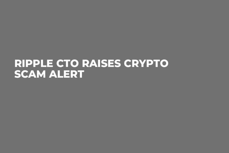 Ripple CTO Raises Crypto Scam Alert