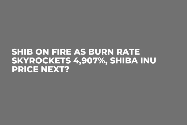 SHIB on Fire as Burn Rate Skyrockets 4,907%, Shiba Inu Price Next?