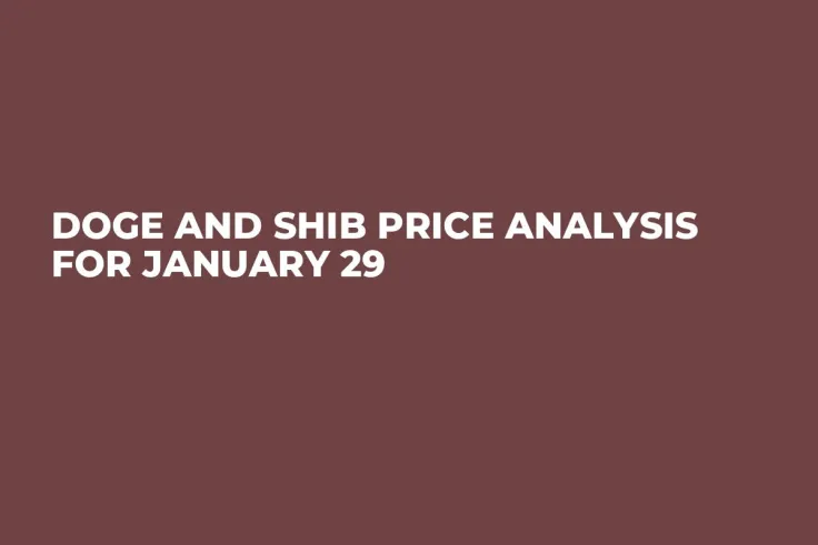 DOGE and SHIB Price Analysis for January 29