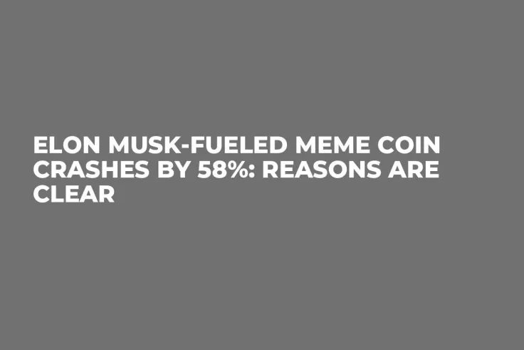 Elon Musk-Fueled Meme Coin Crashes by 58%: Reasons Are Clear