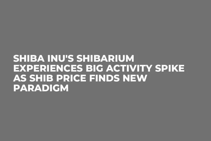 Shiba Inu's Shibarium Experiences Big Activity Spike as SHIB Price Finds New Paradigm