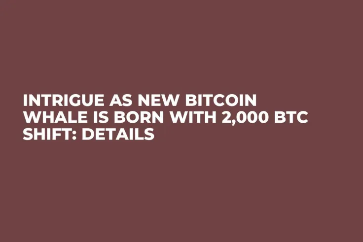 Intrigue as New Bitcoin Whale Is Born With 2,000 BTC Shift: Details