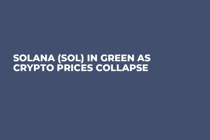 Solana (SOL) in Green as Crypto Prices Collapse