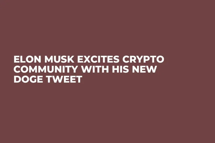 Elon Musk Excites Crypto Community With His New Doge Tweet