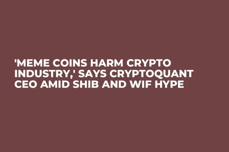'Meme Coins Harm Crypto Industry,' Says CryptoQuant CEO Amid SHIB and WIF Hype