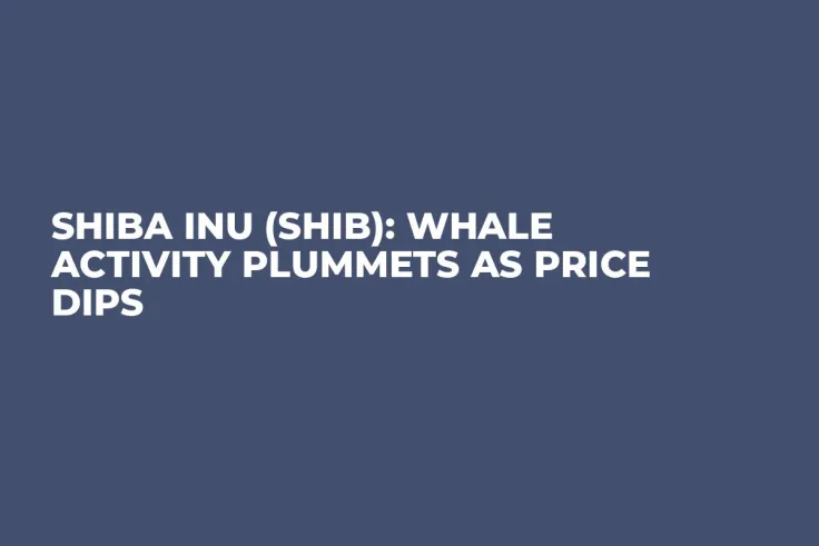 Shiba Inu (SHIB): Whale Activity Plummets as Price Dips