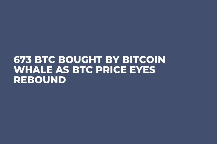 673 BTC Bought by Bitcoin Whale as BTC Price Eyes Rebound