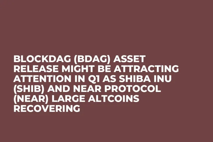 BlockDAG (BDAG) Asset Release Might be Attracting Attention in Q1 as Shiba Inu (SHIB) and NEAR Protocol (NEAR) Large Altcoins Recovering