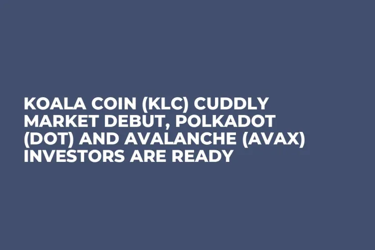 Koala Coin (KLC) Cuddly Market Debut, Polkadot (DOT) and Avalanche (AVAX) Investors Are Ready