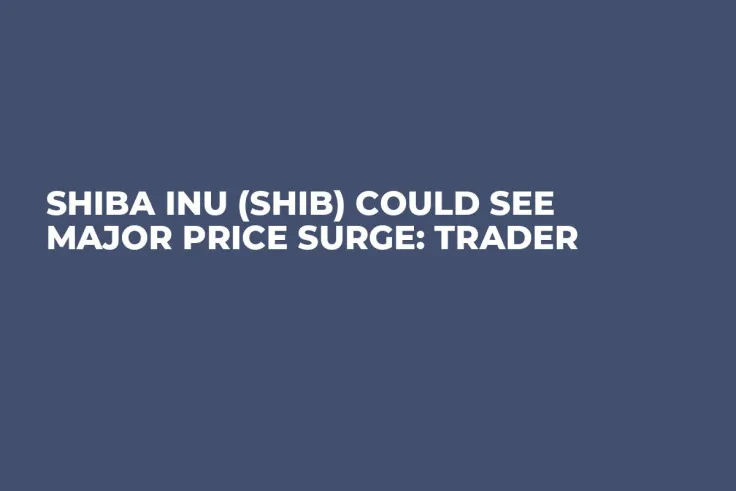 Shiba Inu (SHIB) Could See Major Price Surge: Trader 