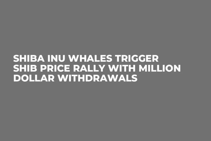 Shiba Inu Whales Trigger SHIB Price Rally With Million Dollar Withdrawals