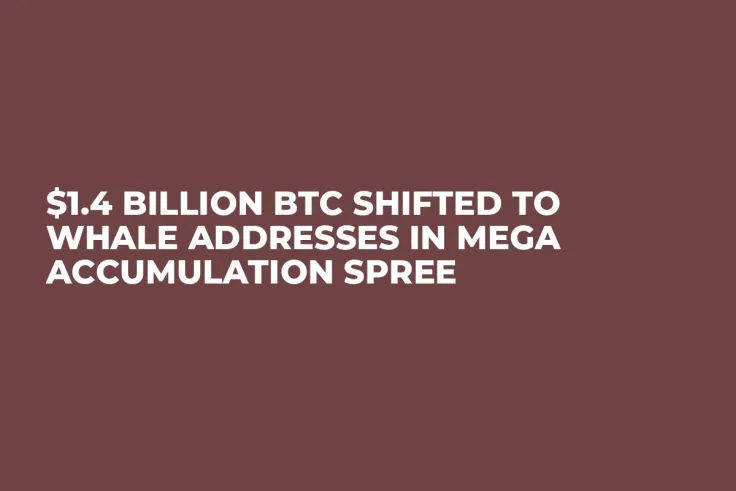 $1.4 Billion BTC Shifted to Whale Addresses in Mega Accumulation Spree