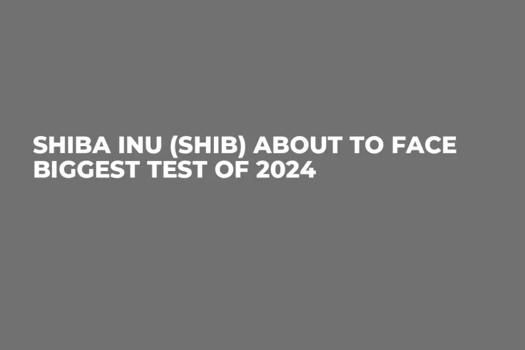 Shiba Inu (SHIB) About to Face Biggest Test of 2024