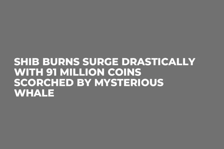 SHIB Burns Surge Drastically With 91 Million Coins Scorched by Mysterious Whale 