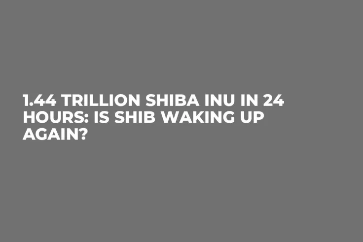1.44 Trillion Shiba Inu in 24 Hours: Is SHIB Waking up Again?