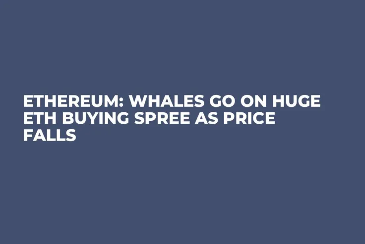 Ethereum: Whales Go on Huge ETH Buying Spree as Price Falls