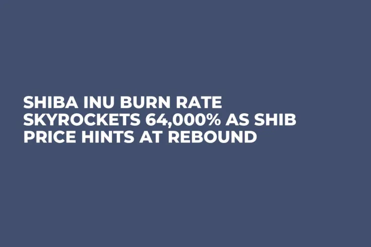 Shiba Inu Burn Rate Skyrockets 64,000% as SHIB Price Hints at Rebound