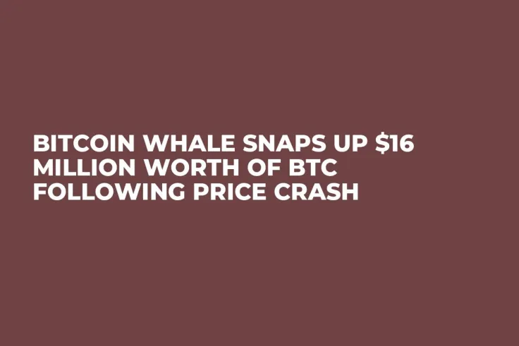 Bitcoin Whale Snaps Up $16 Million Worth of BTC Following Price Crash