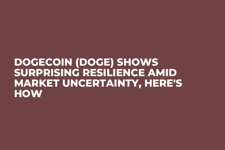 Dogecoin (DOGE) Shows Surprising Resilience Amid Market Uncertainty, Here's How