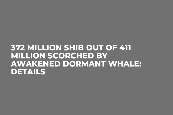 372 Million SHIB Out of 411 Million Scorched by Awakened Dormant Whale: Details