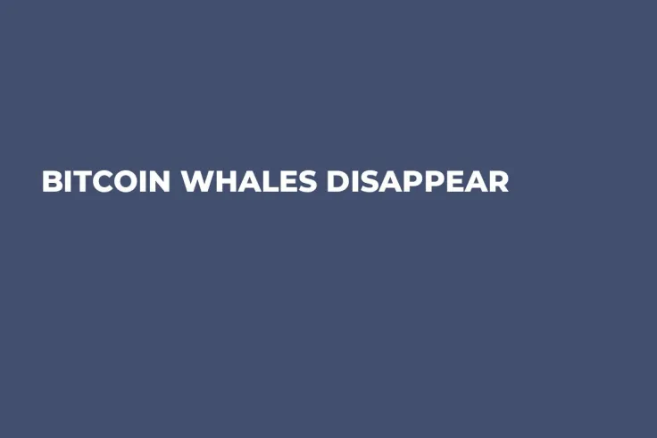 Bitcoin Whales Disappear