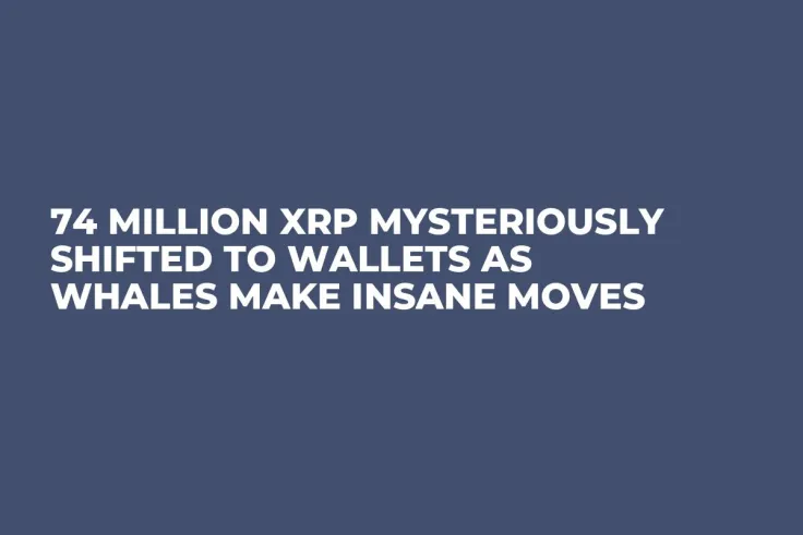 74 Million XRP Mysteriously Shifted to Wallets as Whales Make Insane Moves