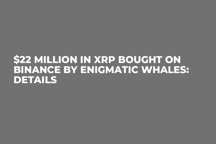 $22 Million in XRP Bought on Binance by Enigmatic Whales: Details