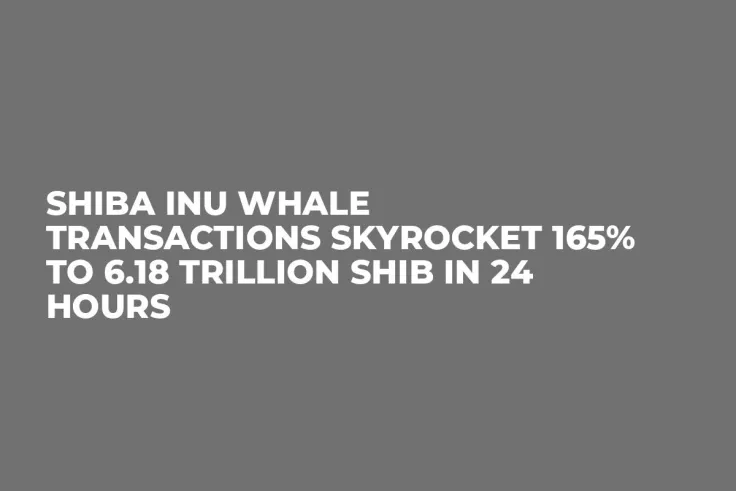 Shiba Inu Whale Transactions Skyrocket 165% to 6.18 Trillion SHIB in 24 Hours