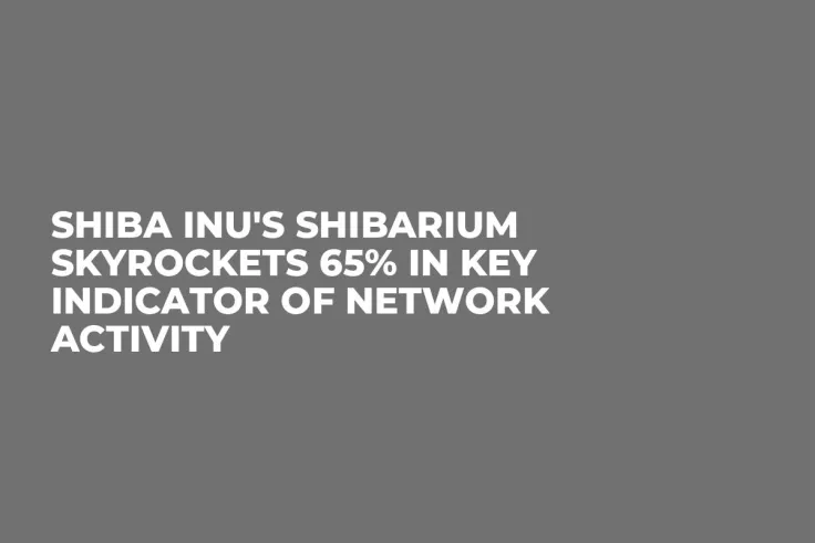 Shiba Inu's Shibarium Skyrockets 65% in Key Indicator of Network Activity