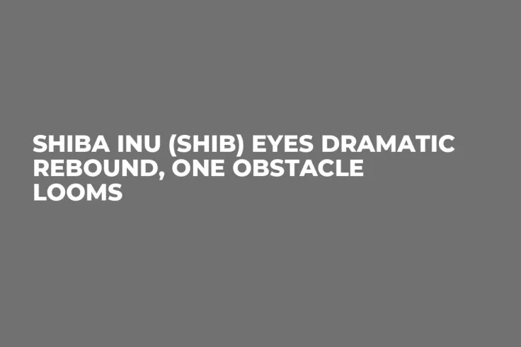 Shiba Inu (SHIB) Eyes Dramatic Rebound, One Obstacle Looms