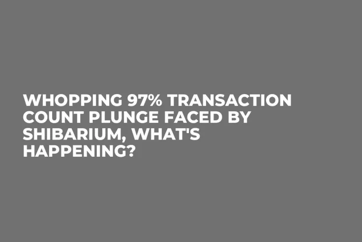 Whopping 97% Transaction Count Plunge Faced by Shibarium, What's Happening?
