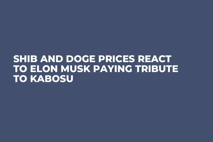 SHIB and DOGE Prices React to Elon Musk Paying Tribute to Kabosu