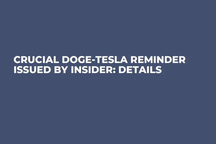 Crucial DOGE-Tesla Reminder Issued by Insider: Details