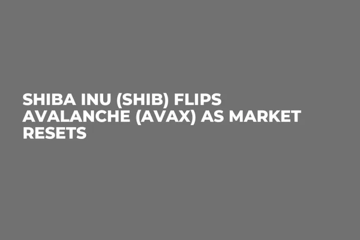 Shiba Inu (SHIB) Flips Avalanche (AVAX) as Market Resets