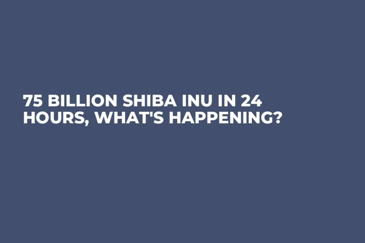 75 Billion Shiba Inu in 24 Hours, What's Happening?
