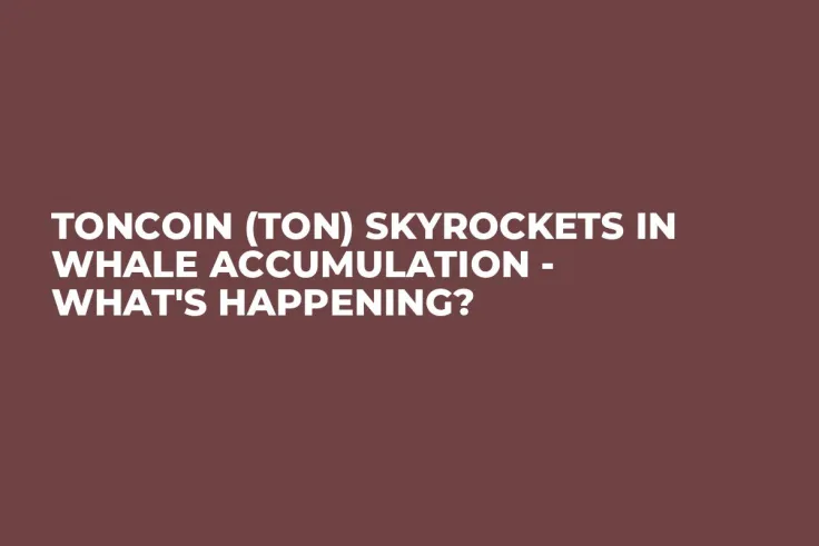 Toncoin (TON) Skyrockets in Whale Accumulation - What's Happening?