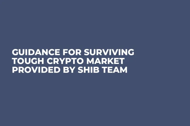 Guidance for Surviving Tough Crypto Market Provided by SHIB Team