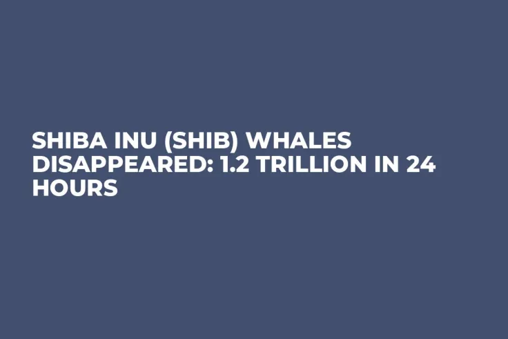 Shiba Inu (SHIB) Whales Disappeared: 1.2 Trillion in 24 Hours