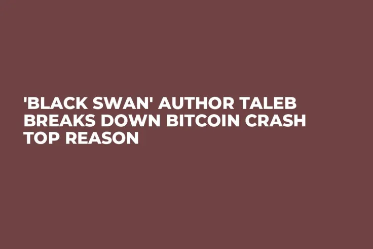 'Black Swan' Author Taleb Breaks Down Bitcoin Crash Top Reason