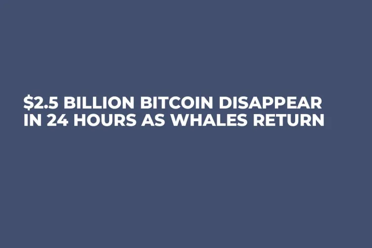 $2.5 Billion Bitcoin Disappear in 24 Hours as Whales Return