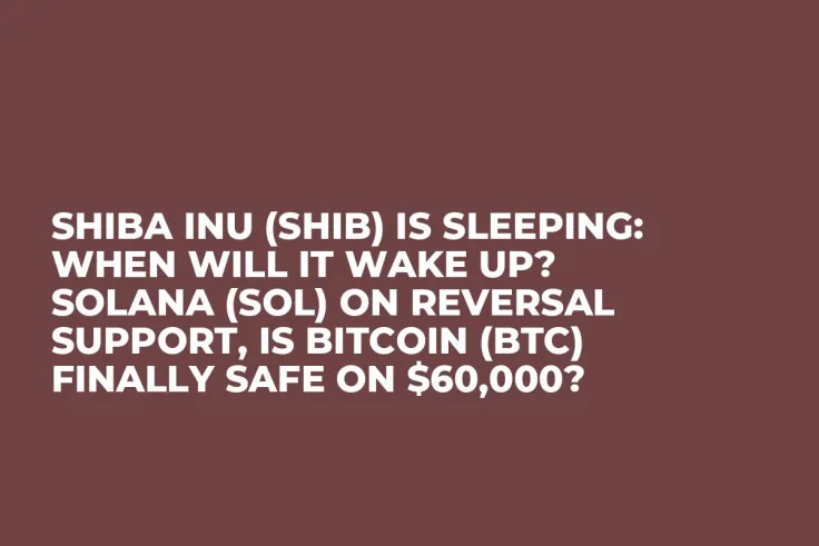 Shiba Inu (SHIB) Is Sleeping: When Will It Wake Up? Solana (SOL) on Reversal Support, Is Bitcoin (BTC) Finally Safe on $60,000?