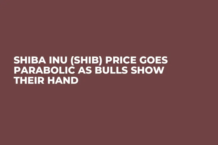Shiba Inu (SHIB) Price Goes Parabolic as Bulls Show Their Hand