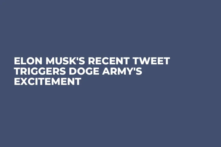 Elon Musk's Recent Tweet Triggers DOGE Army's Excitement
