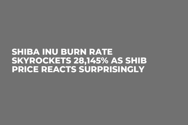 Shiba Inu Burn Rate Skyrockets 28,145% as SHIB Price Reacts Surprisingly